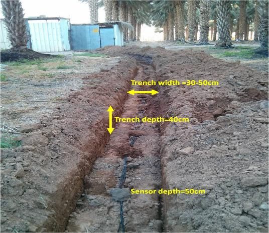 Field installation: a trench dug along a palm plantation for the buried D-Ground sensor line, with the trench and sensor dimensions marked