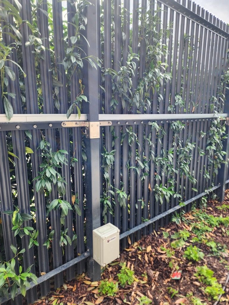 Pale fence with the D-Palisade sensor on the rail and a weatherproof control box at the foot of the post
