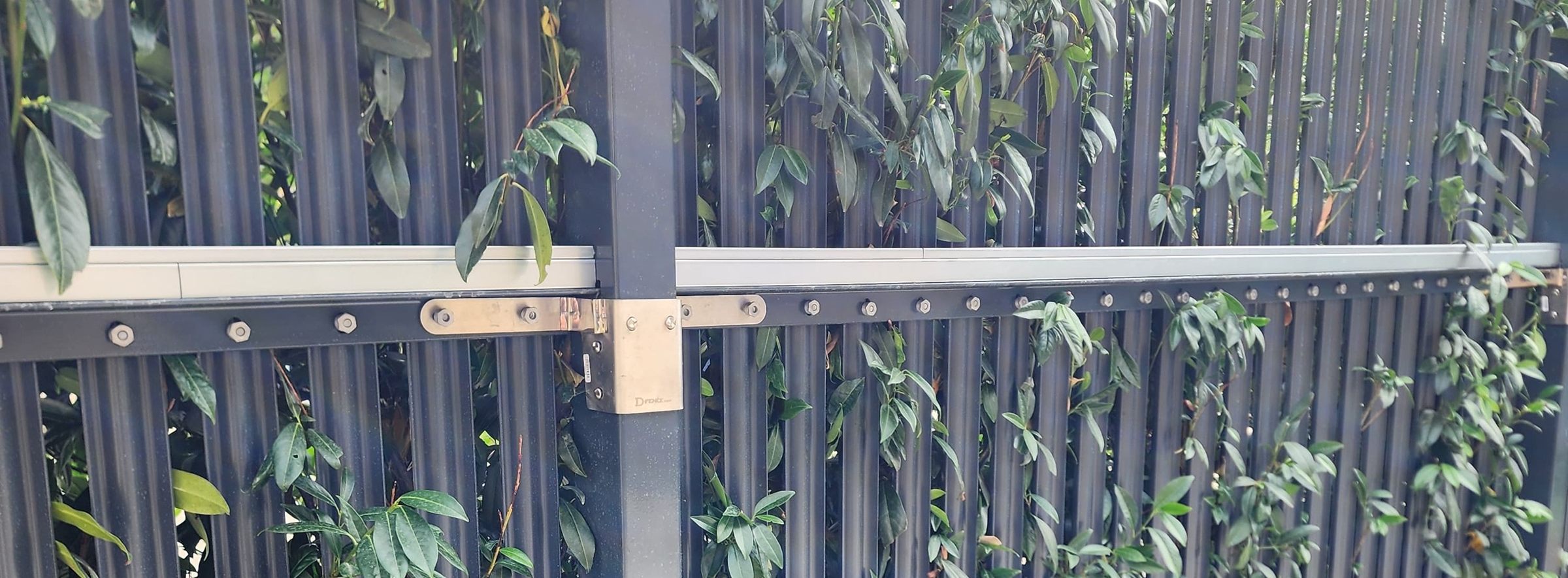 Stainless-steel D-Palisade sensor bolted where the rail meets the post of a dark pale fence, among climbing plants