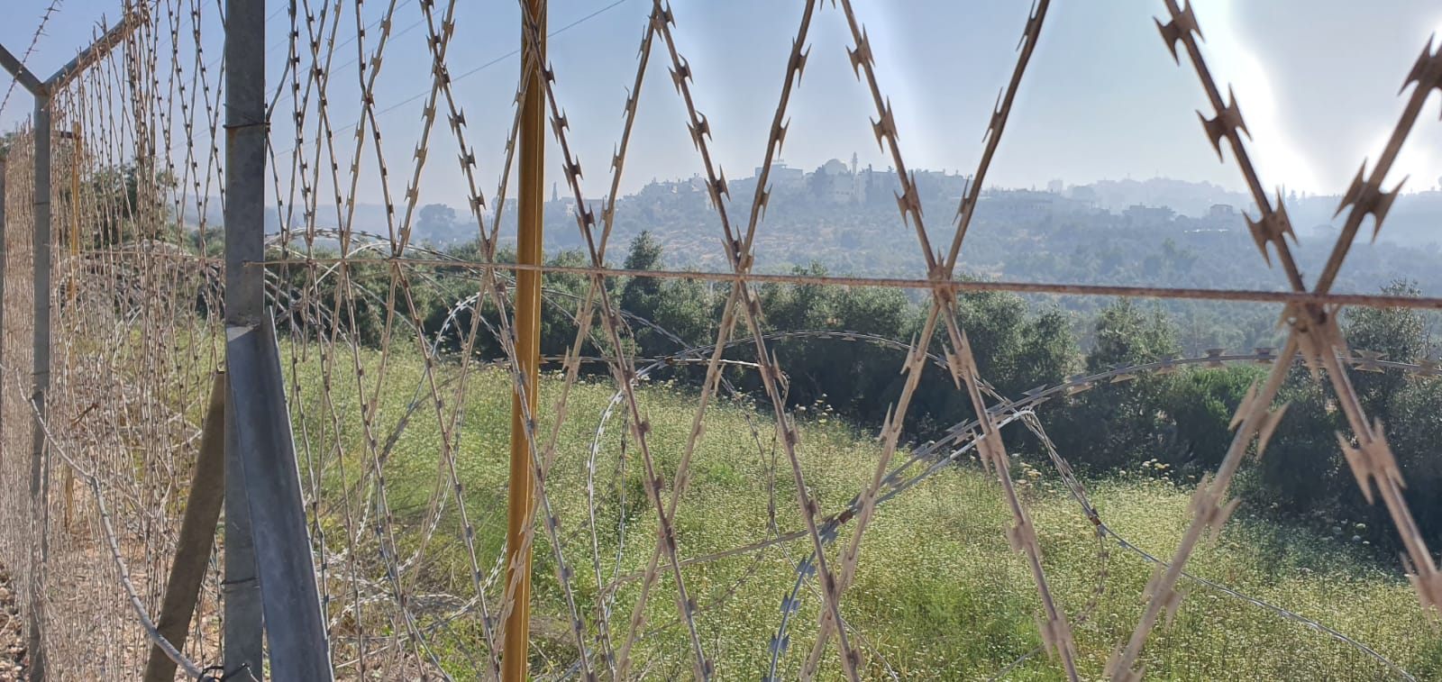 Looking through a razor-mesh fence at a hillside site, trees and hills beyond