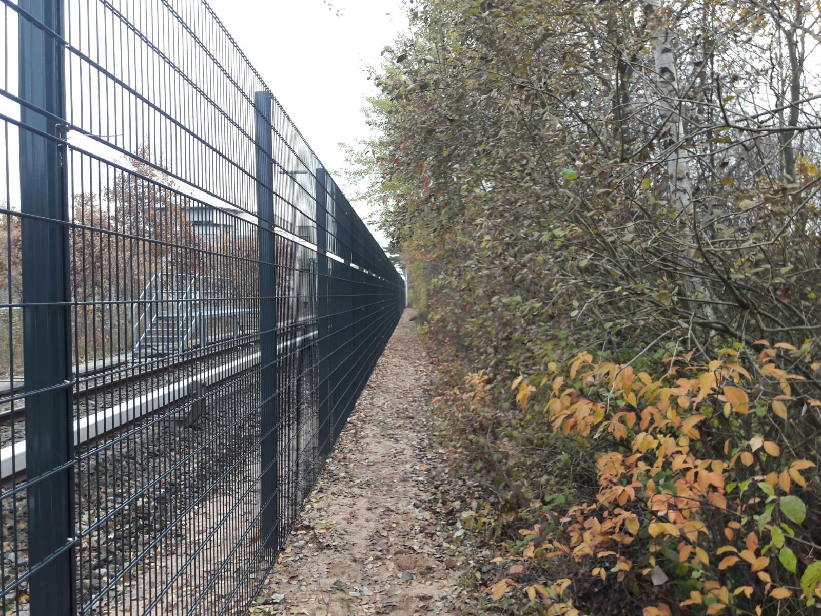 Long welded-mesh fence line along a rail corridor beside autumn shrubs