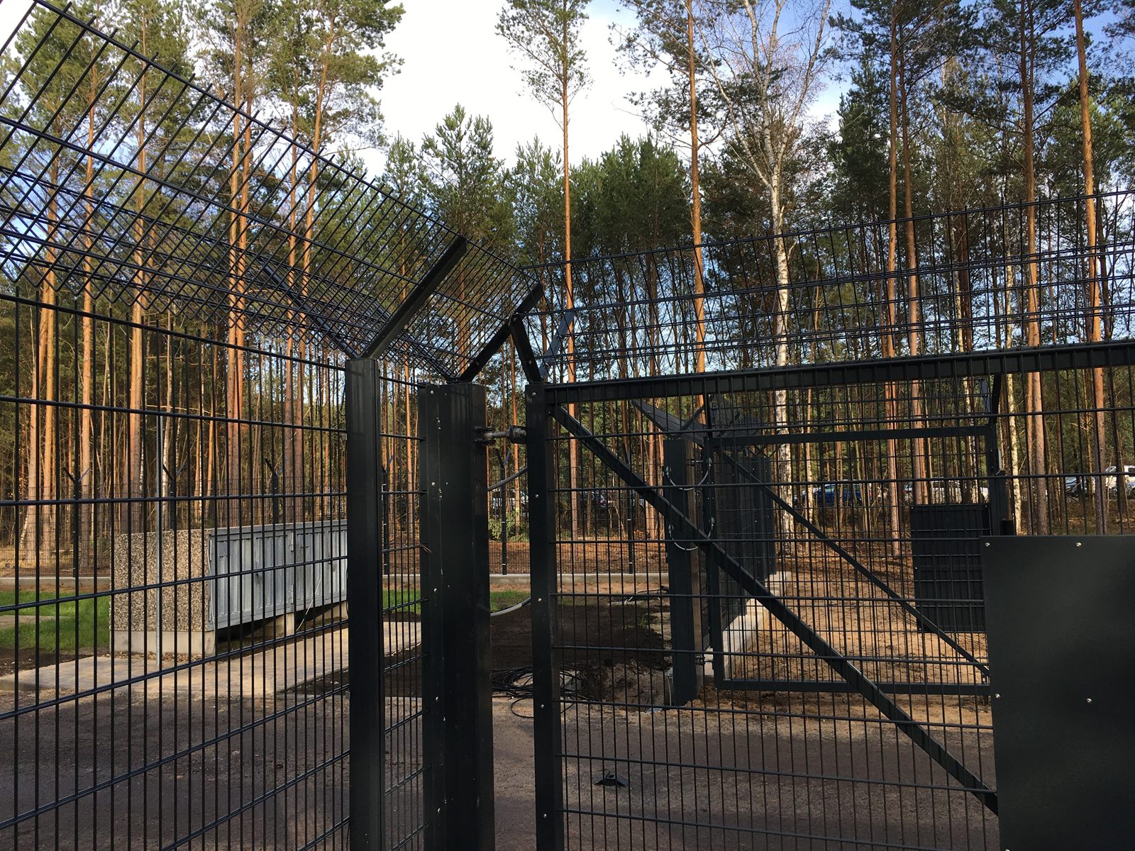 Welded-mesh gate and fence with Y-post outriggers at a forested site